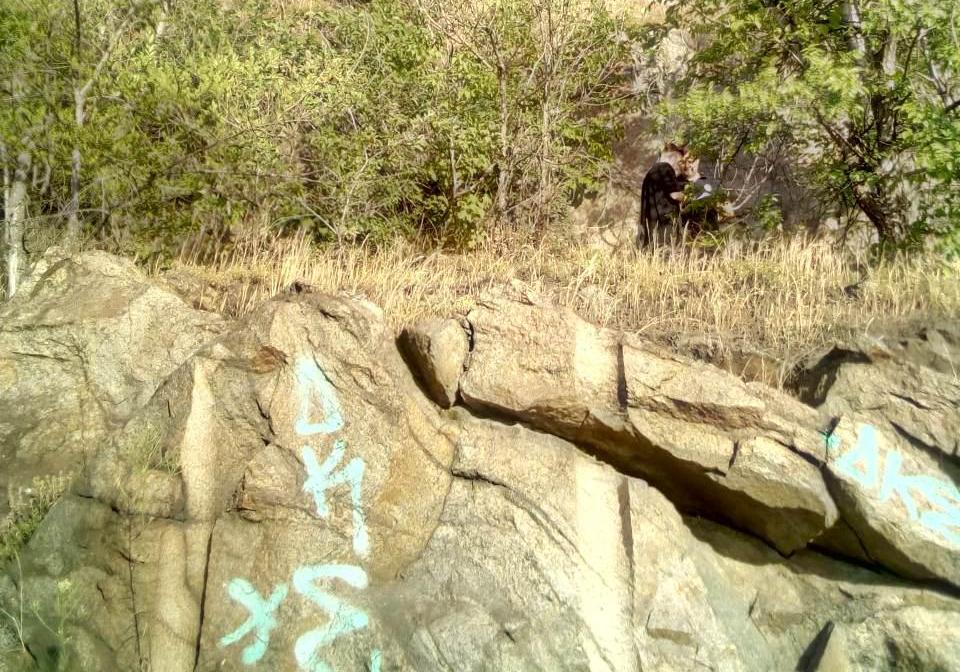 Новость - События - Не удержалась: в Запорожье девушка сорвалась с 10-метровой скалы