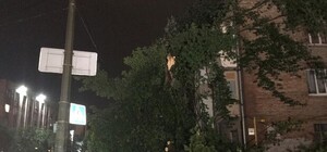 В Киеве из-за грозы падали деревья. В Голосеевском районе погибла женщина