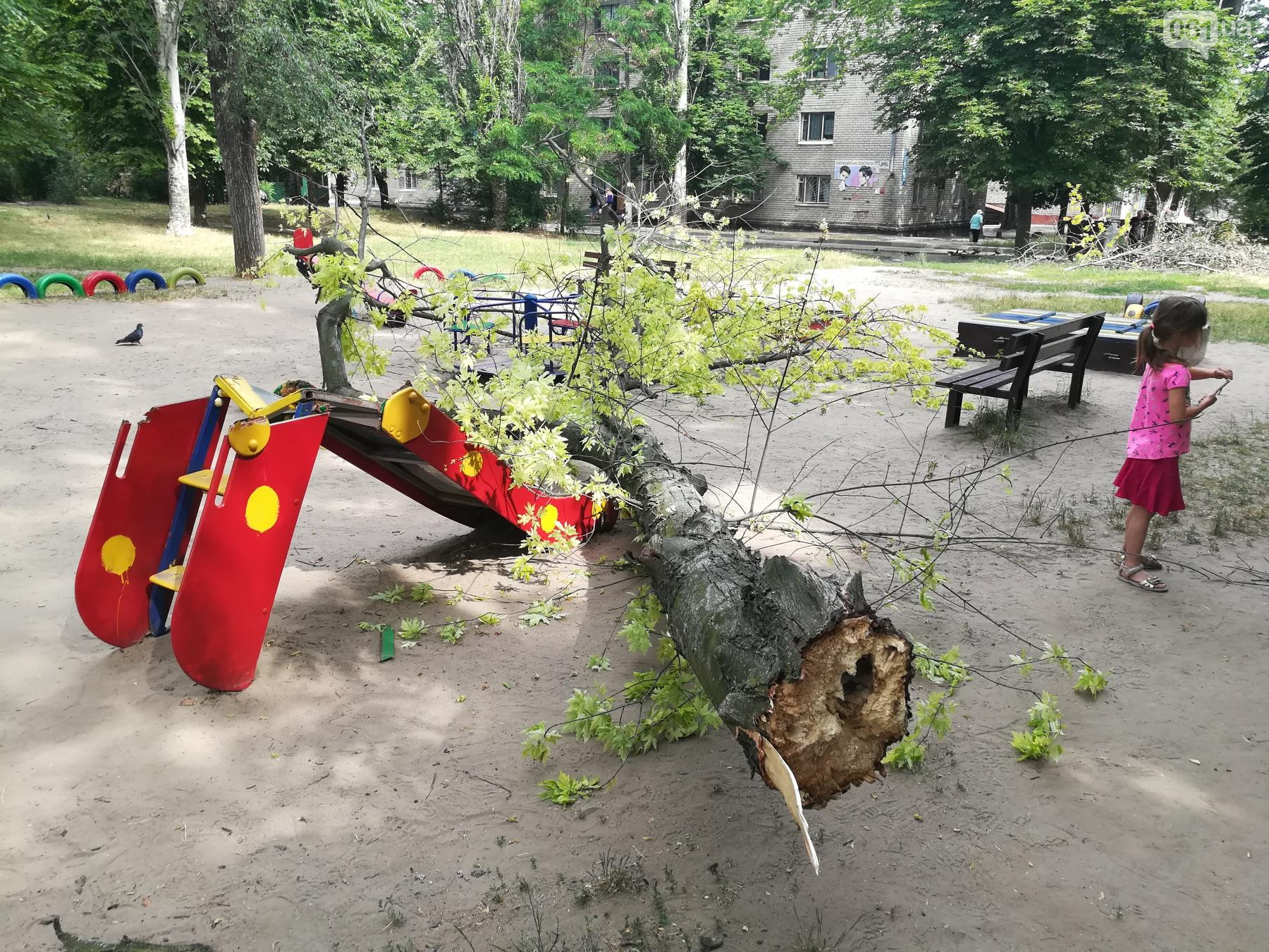 Дерево упало на детскую площадку. Фото: 061.ua