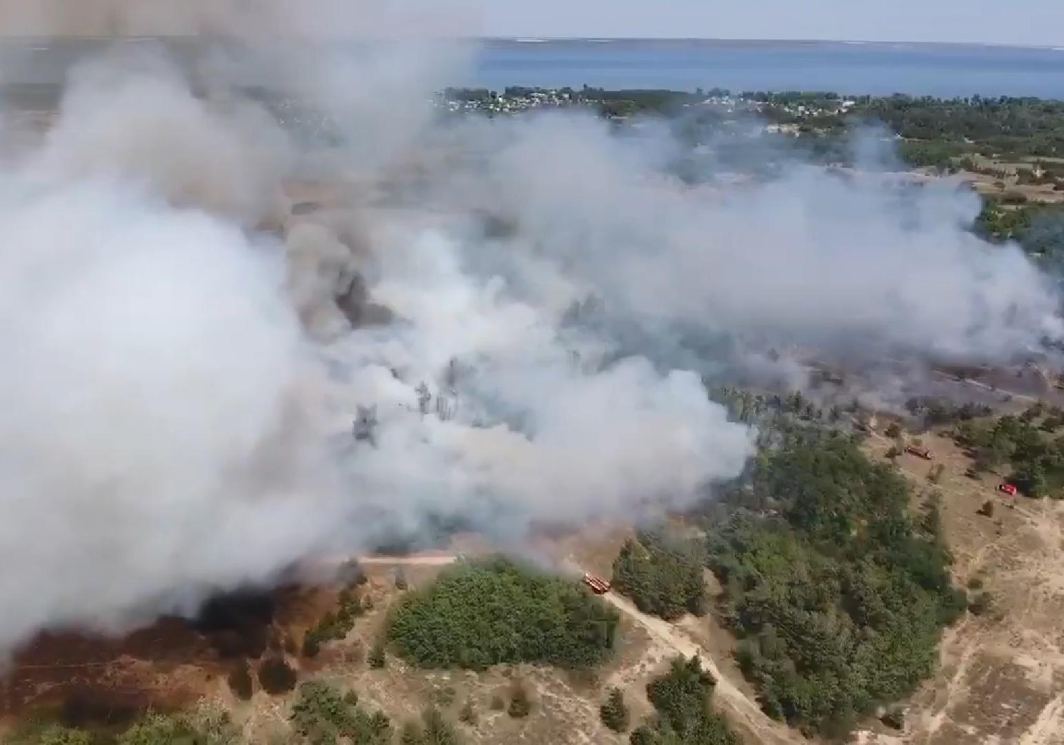 Новость - События - Масштабный пожар в Запорожской области: загорелся лес возле жилых домов (ВИДЕО)