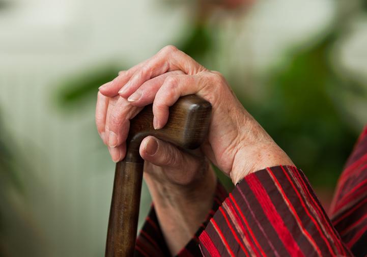 Новость - События - Помоги найти: в Запорожье разыскивают пропавшую пенсионерку