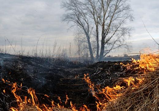Новость - События - Пожары не утихают: за сутки в Запорожской области сгорели 23 гектара экосистем