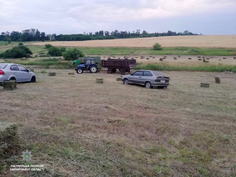 Новость - События - В полночь косят трын-траву: запорожцы пытались украсть сено с чужого поля
