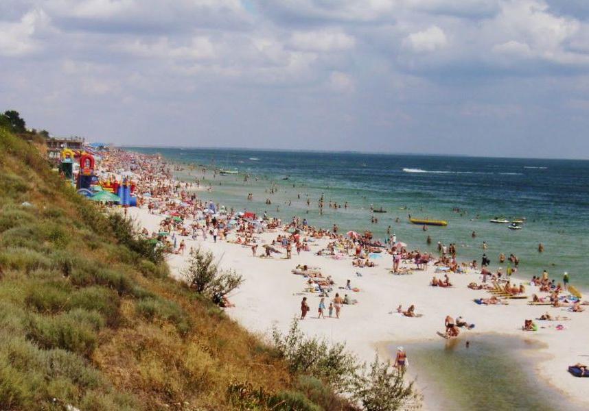 Новость - События - Пошла купаться и не вернулась: в Кирилловке на пляже пропала 6-летняя девочка