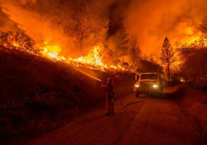 Новость - События - Следи за огнем: за последние сутки в области произошло два десятка пожаров на природе