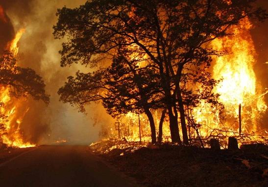 Новость - События - Пожары не утихают: за сутки в Запорожье и области огонь уничтожил более 5 гектаров экосистем