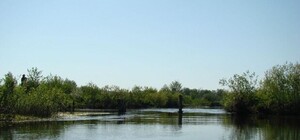 В Полтавской области до конца года почистят одну из рек: узнай какую