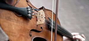 З натовпу: у центрі Львова невідомий вистрелив у вуличну скрипальку