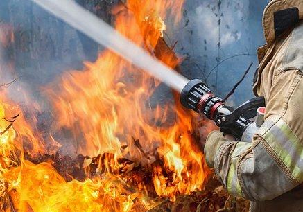 Новость - События - Пожары не утихают: в Запорожье и области огонь уничтожает гектары дикой природы