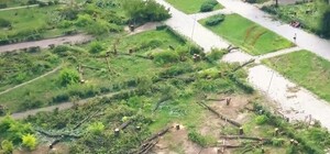 Пеньки и сломанные ветки: как выглядит сквер Яланского с высоты птичьего полета (ВИДЕО)