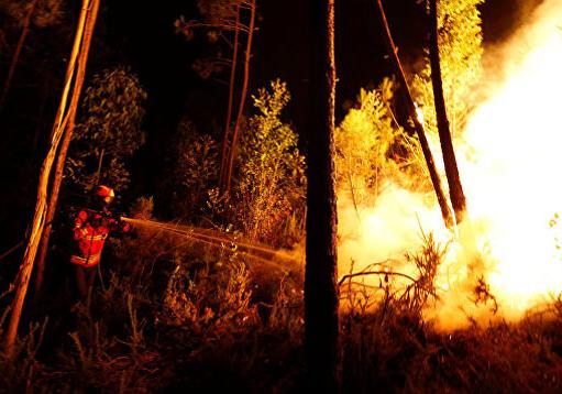 Новость - События - Сгорает все живое: за сутки в Запорожской области произошло больше десятка возгораний на природе