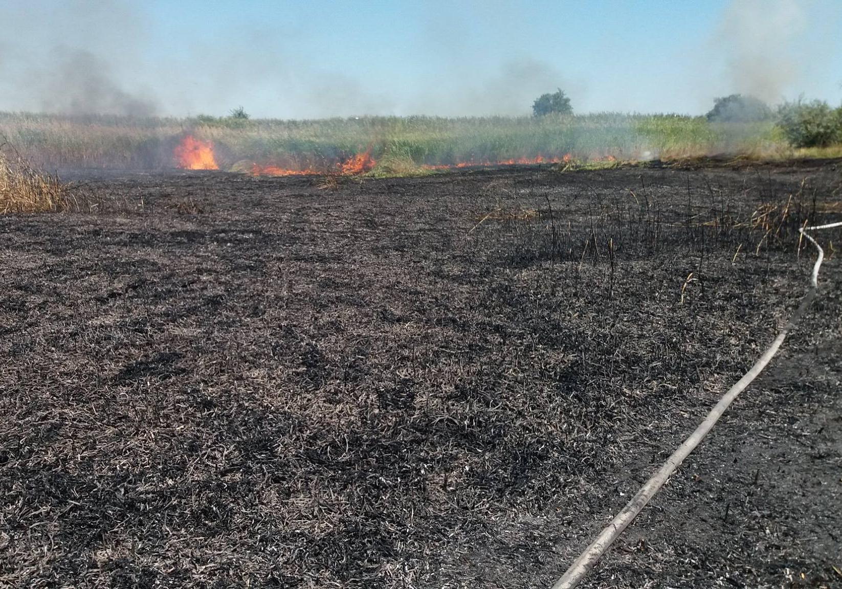 Новость - События - Жара и сухая погода: в Запорожье и области за сутки произошло 30 пожаров на природе