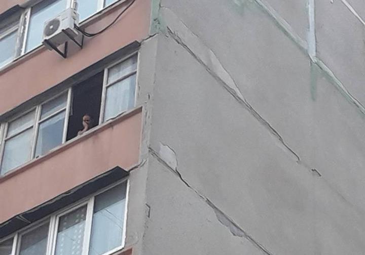 Новость - События - Надоела хозяевам: на Южном женщина выбросила собаку из окна 7-го этажа (ФОТО)
