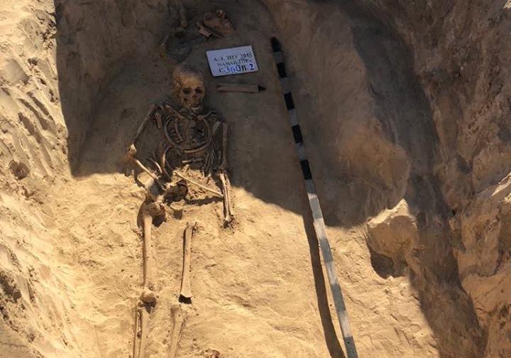 Новость - События - Скифская амазонка: под Запорожьем археологи нашли скелет женщины, жившей более 2 тысяч лет назад