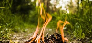 Осень на носу: на сколько будут штрафовать днепрян за сжигание листьев