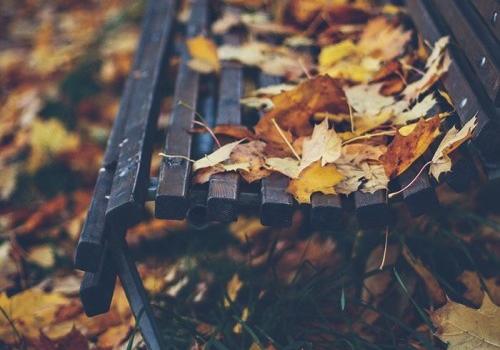 Новость - События - Собирайся на прогулку: какая погода в Запорожье 2 октября