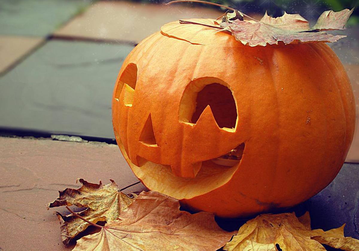 Новость - События - Мрачный Хеллоуин: какая погода в Запорожье 31 октября