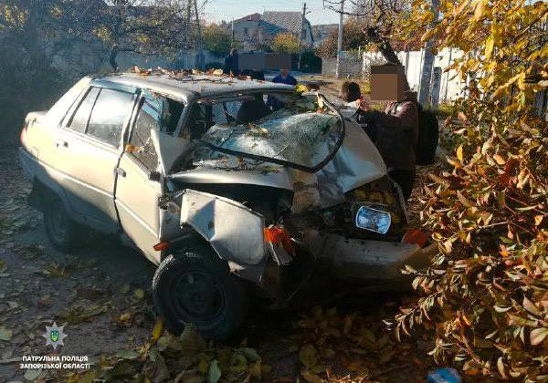 Новость - События - Стало плохо за рулем: в Коммунарском районе водитель врезался в дерево (ФОТО)