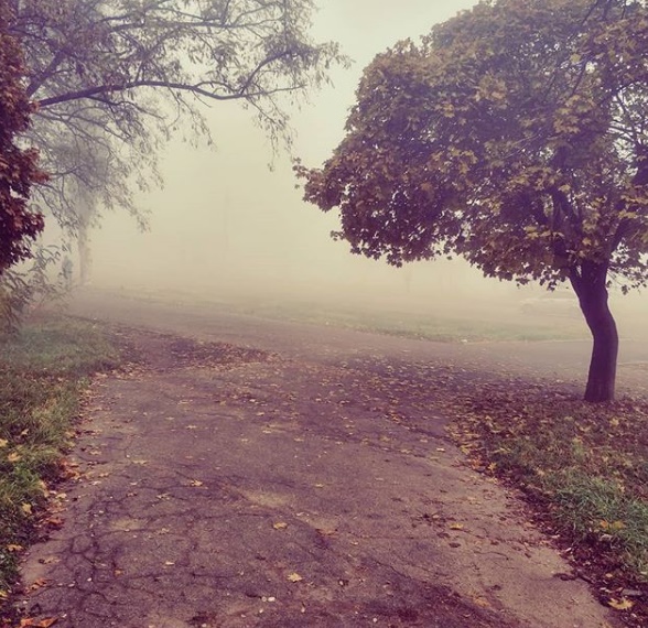Туман в Запорожье. Все фото: Instagram