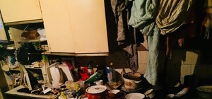 “Бігає курка, а їжі немає”: на Федьковича 9-річна дівчинка живе в жахливих умовах