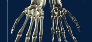 Жуть: в Одессе нашли цистерну со скелетами