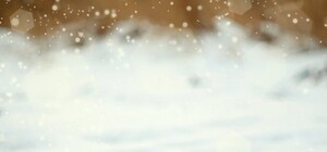 Доставай саночки: какая погода сегодня в Запорожье