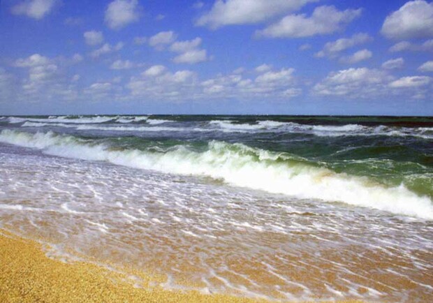 Азовское море спасет двухгодичный отпуск.
Фото fishline.ru.