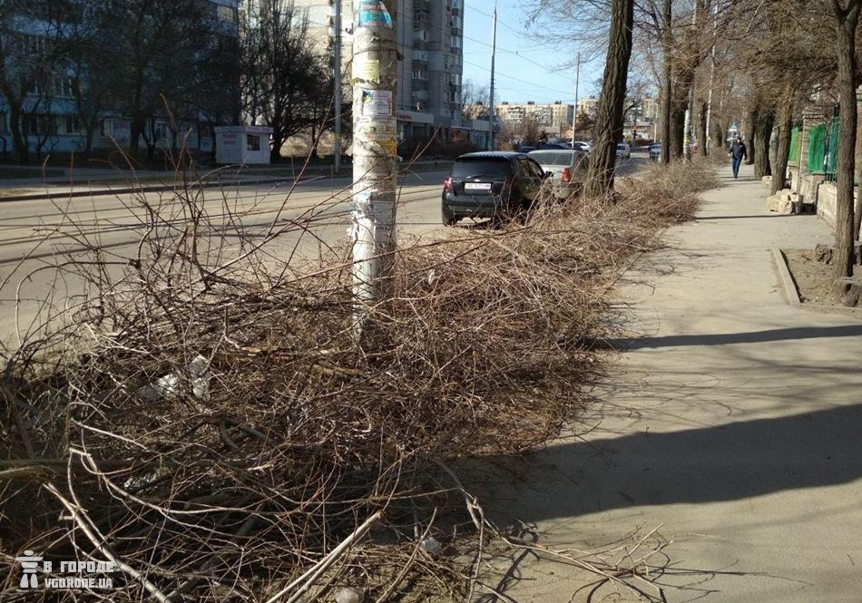 Новость - События - На Почтовой коммунальщики не вывозят горы спиленных веток: на месте образовывается свалка (ФОТО)