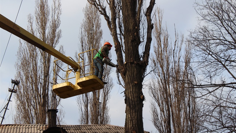 В Заводском районе спиливают деревья. Фото: zp.gov.ua