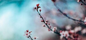 Весеннее равноденствие 2019: приметы и обычаи