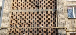 Мрут от голода: под Запорожьем в пролете подъезда замуровали голубей