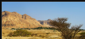 Полуостров рискует стать 