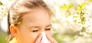 Будь здоров: в Полтаве участились случаи аллергии