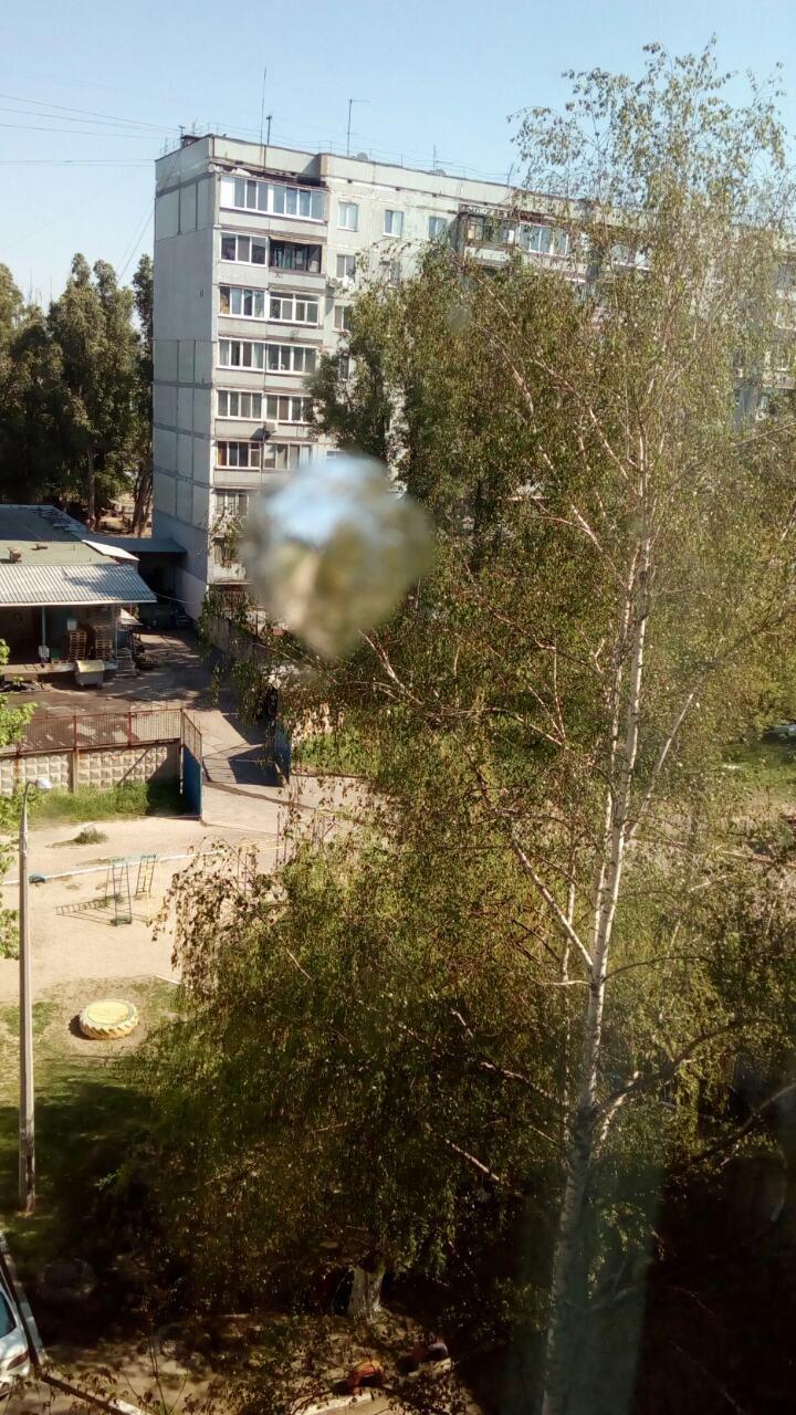 В Осипенковском районе стреляли по окнам многоэтажки