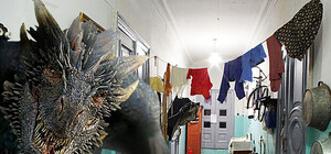 Питоны уже не катят: каких необычных животных и почем можно купить в Киеве