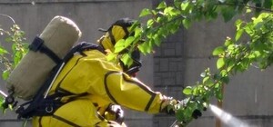 Миссия выполнена: спасатели уничтожили рой пчел возле входа в детсад