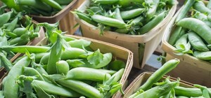 Что и почем в Одессе: обзор цен на рынках и в супермаркетах