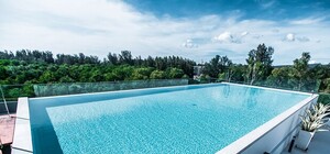 На одесской крыше нашли райский уголок: фотофакт