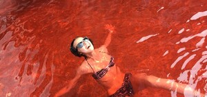 Киевлян напугала странная красная вода, которая сливается в озеро Минское