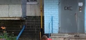 Видеофакт: в Харькове мужчина выгуливает утку на поводке