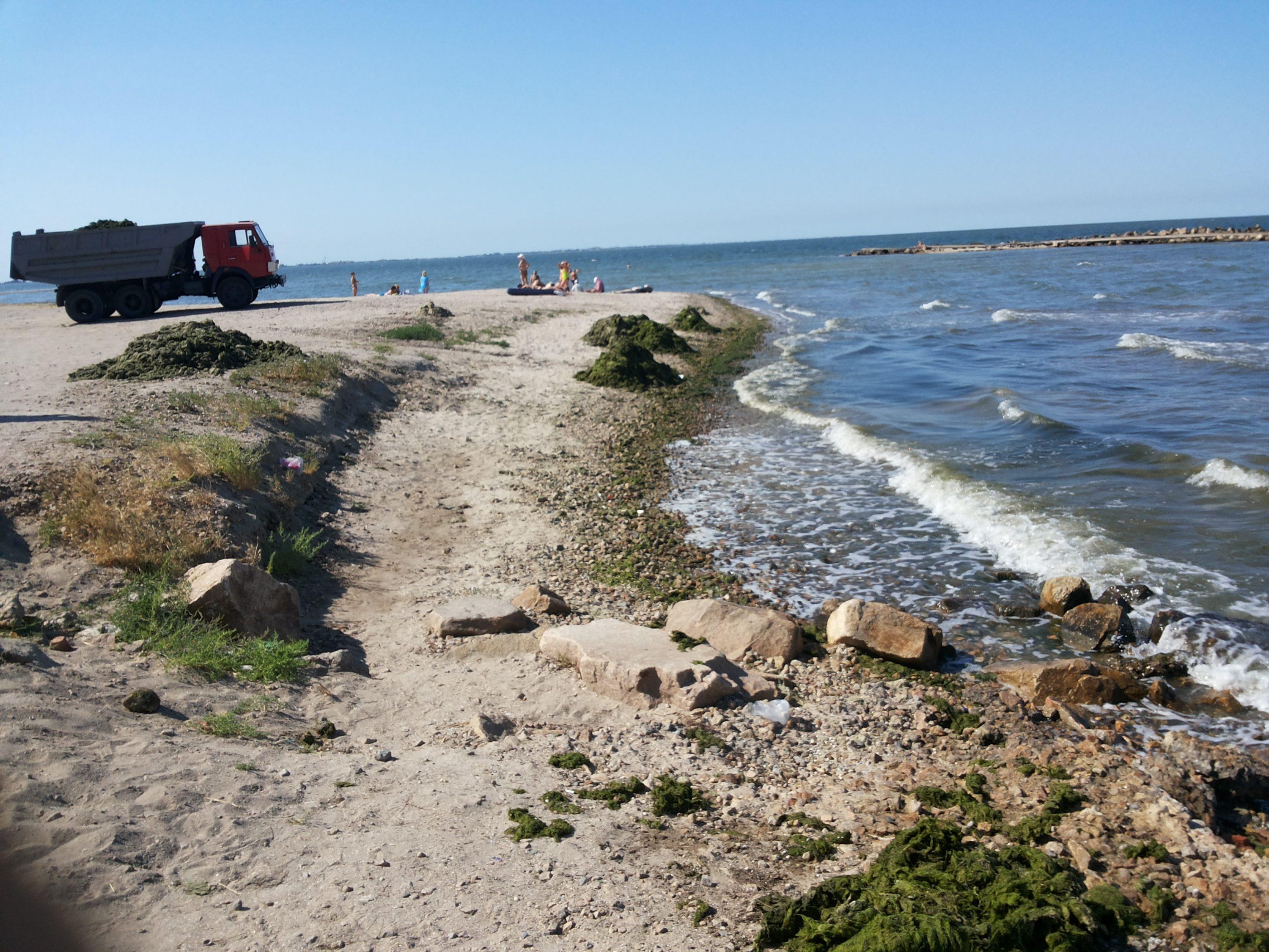 В Бердянске морем на пляж выносит тонны водорослей. Фото: "ПроБердянск"
