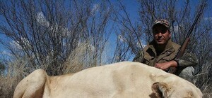 Жуткое зрелище: запорожский политик убивал и позировал с животными (фото)