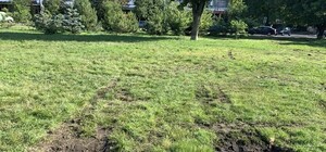 Концерт на площади Деревянко переносится: предвыборная агитация нанесла большой ущерб газону