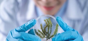 Новый этап медреформы: что изменится для харьковчан в 2020 году