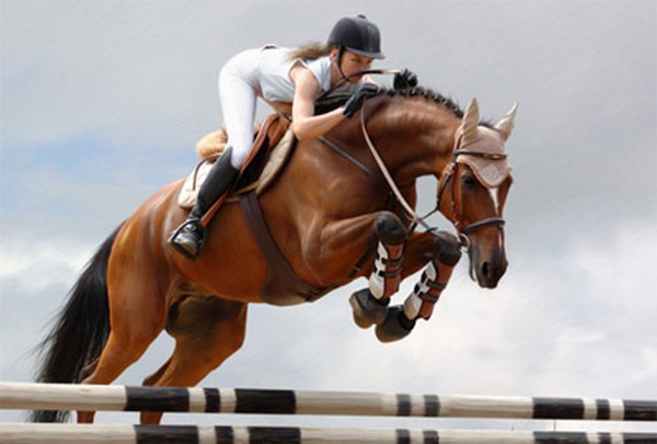 Афиша - Спорт - Чемпионат по конному спорту