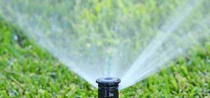 В Одессе после потопа поливают газоны: фотофакт