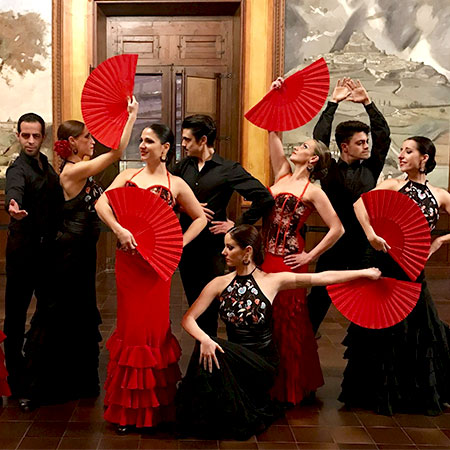 Viva Flamenco - фото