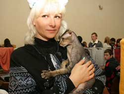 В Мелитополе презентована украинская порода кошек
Фото http://www.mv.org.ua