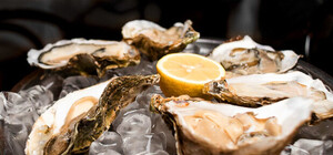 Не показалось: одесские бомжи питаются устрицами