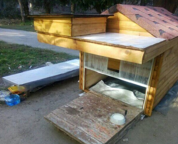 В Запорожье появился "Кошкин дом". Фото: fb Дарья Бабочкина